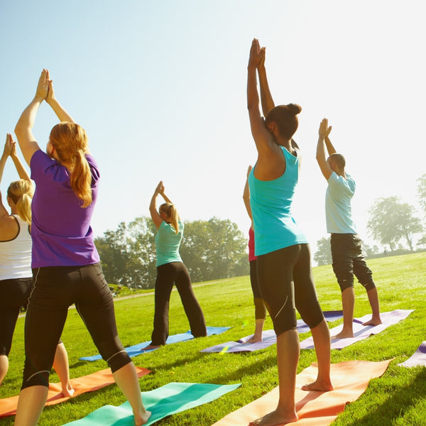 Meditation & Yoga Books