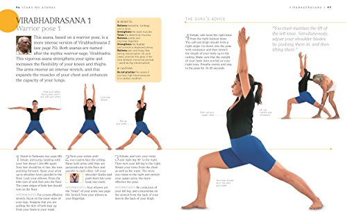 BKS Iyengar Yoga The Path to Holistic Health: The Definitive Step-by-Step Guide - NaturaCurandera.com