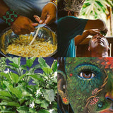 Sananga Milkwood - ancestral eye drops - NaturaCurandera.com