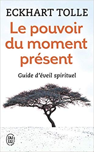 The Power of Now: A Guide to Spiritual Enlightenment (ENG) - NaturaCurandera.com