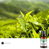 Essential Oils 100% Pure Natural - NaturaCurandera.com